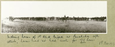 Watering horses of 1st A.L.H. Brigade at Beersheba after attack, horses had not had water for 72 hours, 1st November 1917 by Capt. Arthur Rhodes